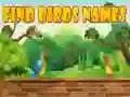 Hra Najdi názvy ptáků