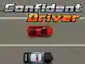Hra Sebevědomý řidič Hra Sebevědomý řidič