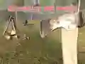 Hra Přežít V Lese Hra Přežít V Lese