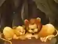 Hra Zábavné skládačky se zvířaty ze zoo Hra Zábavné skládačky se zvířaty ze zoo