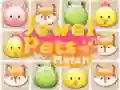 Hra Jewel Pets Match