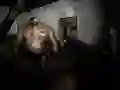 Hra Tichý Azyl Hra Tichý Azyl