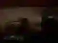 Hra Děsivé Safari v Džungli Hra Děsivé Safari v Džungli