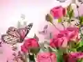 Hra Puzzle s Motýly Hra Puzzle s Motýly