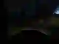 Hra Horrorová Džungle Jízda Hra Horrorová Džungle Jízda