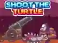 Hra Střílejte na želvu