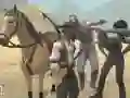 Hra Simulátor Jízdy na Koních Hra Simulátor Jízdy na Koních