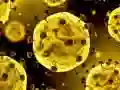Hra Koronavirový skluz Hra Koronavirový skluz
