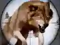 Hra Lov na divoké zvířata Hra Lov na divoké zvířata