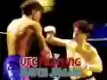 Hra UFC Bojový zápas Puzzle Hra UFC Bojový zápas Puzzle
