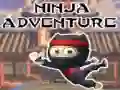 Hra Ninja Dobrodružství