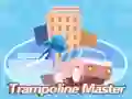 Hra Mistr trampolíny Hra Mistr trampolíny