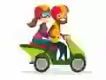 Hra Motocykly Najdi Rozdíly Hra Motocykly Najdi Rozdíly