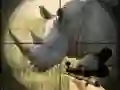 Hra Divoký lovec nosorožců Hra Divoký lovec nosorožců