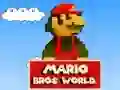 Hra Mario Bros Svět