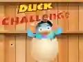 Hra Výzva Kachny Hra Výzva Kachny
