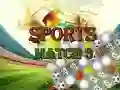 Hra Sportovní Match 3 Deluxe Hra Sportovní Match 3 Deluxe