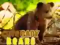 Hra Roztomilá Medvíďata Hra Roztomilá Medvíďata