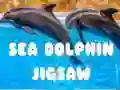 Hra Hlavolam Mořský Delfín Hra Hlavolam Mořský Delfín