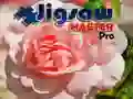 Hra Mistrz Puzzle Pro Hra Mistrz Puzzle Pro