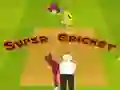 Hra Super Kriket Hra Super Kriket