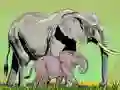 Hra Divoká zvířata a jejich mláďata
