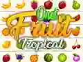 Hra Onet Tropické Ovoce Hra Onet Tropické Ovoce