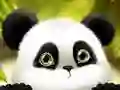Hra Panda Klouzání Hra Panda Klouzání