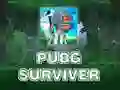 Hra PUBG Survivor Hra PUBG Survivor