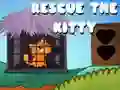 Hra Zachraň koťátko Hra Zachraň koťátko