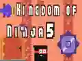 Hra Království Ninjů 5