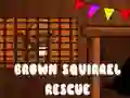 Hra Záchrana hnědého veverky