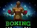 Hra Hvězdy boxu