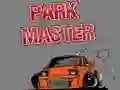 Hra Mistr parkování