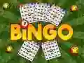 Hra Bingo Odhaleno Hra Bingo Odhaleno