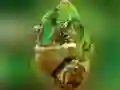 Hra Puzzle Chameleon Hra Puzzle Chameleon