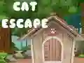Hra Únik Kočky