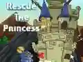 Hra Zachraňte princeznu