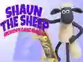 Hra Shaun Ovce: Hra na Paměť