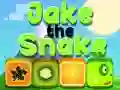 Hra Jake Had Hra Jake Had