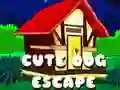 Hra Únik Roztomilého Psa Hra Únik Roztomilého Psa
