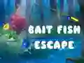 Hra Útěk nástražné ryby