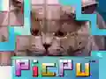Hra PicPu Kočka