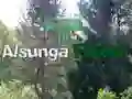 Hra Návrat do lesa Alsunga Hra Návrat do lesa Alsunga