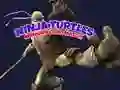 Hra Pexeso Ninja Želv Hra Pexeso Ninja Želv