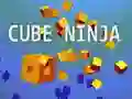 Hra Kostkový Nindža Hra Kostkový Nindža