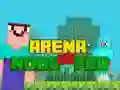Hra Aréna: Noob vs Pro