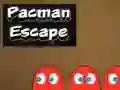 Hra Pacman Únik Hra Pacman Únik