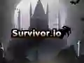Hra Přeživší.io Hra Přeživší.io