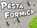 Hra Hodování Mravenců Hra Hodování Mravenců